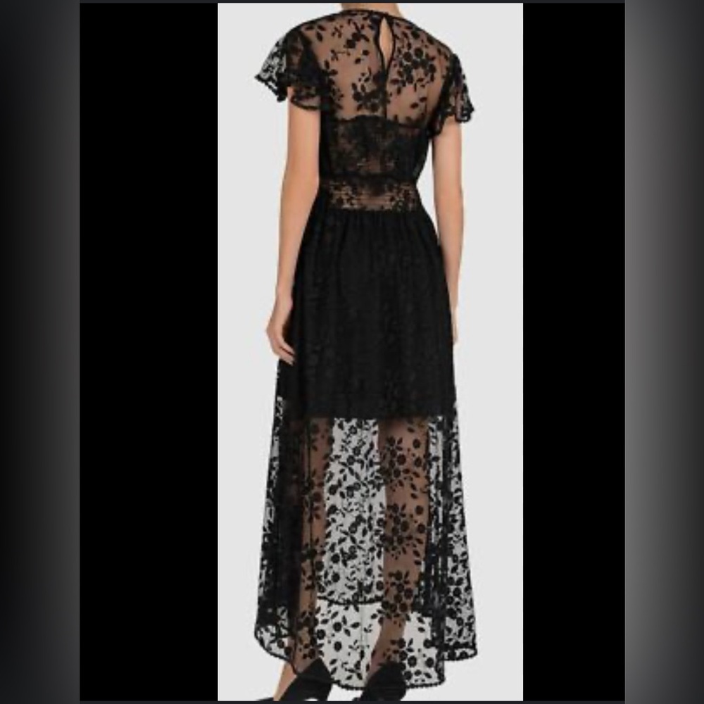 The Kooples Sheer Lace Midi Dress Gothic Romantic Luxury Whimsical Witchy Sz 2 - Picture 2 of 6